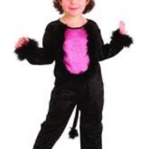 Gatita Kitty 2 a 4 años